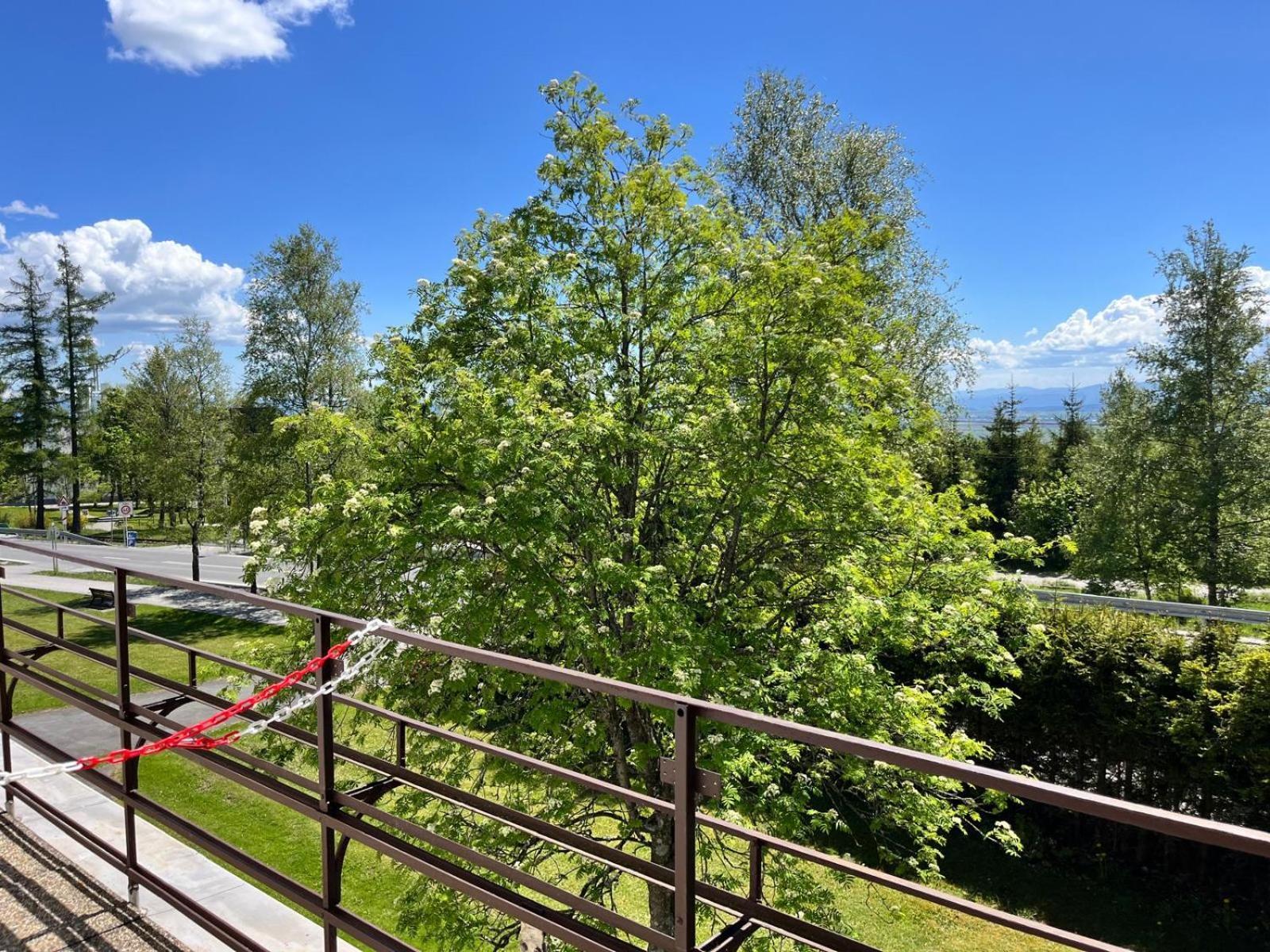 Penzion Villa Gerlach Vysoké Tatry Buitenkant foto